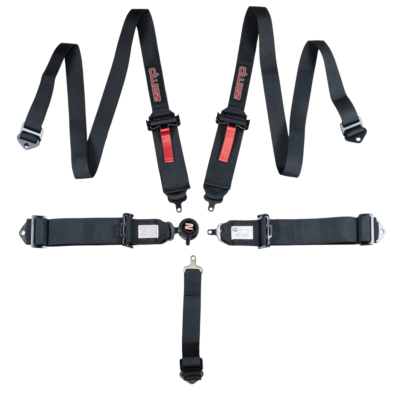 Cinturon pull Down Camlock SFI 3"/2" 5