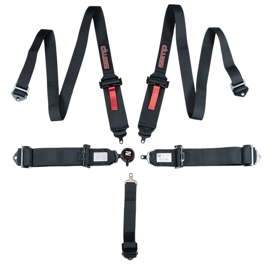 Cinturon pull Down Camlock SFI 3"/2" 5